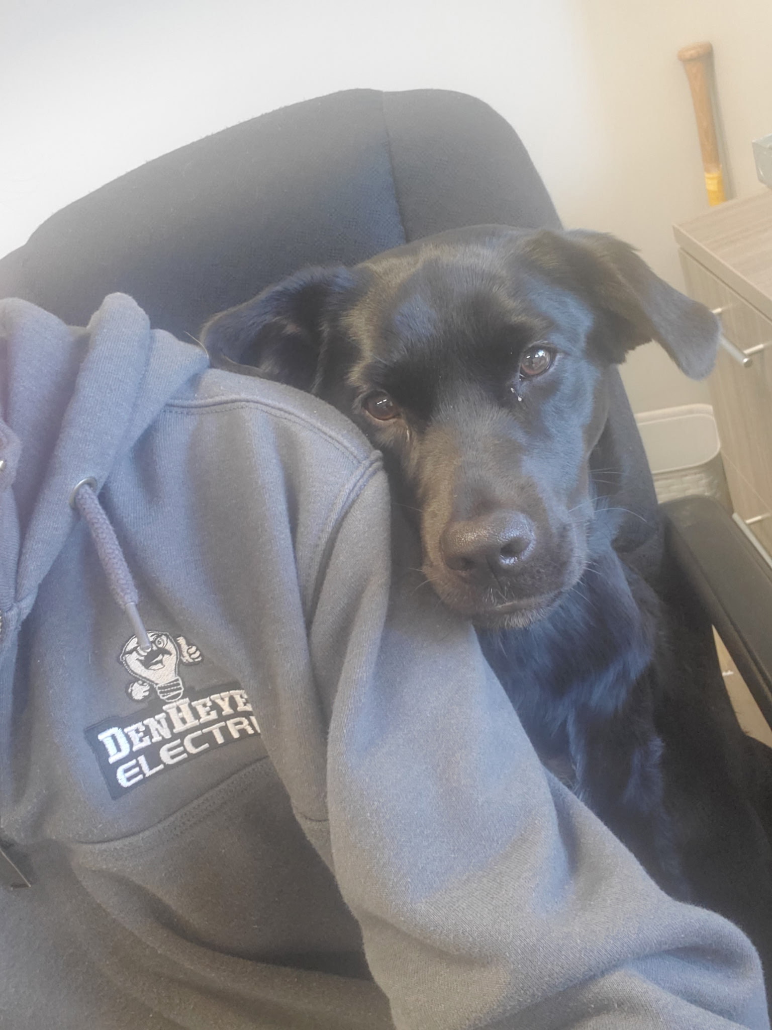 DenHeyer Electric team